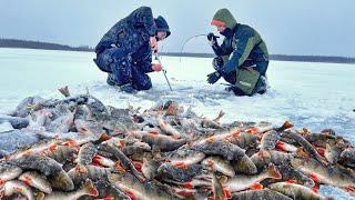 РУКИ ТРЯСУТСЯ! ЩУКУ НА ПОДЛЕДНИКИ! Первый лёд 2024 2025