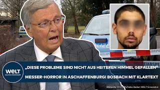 ASCHAFFENBURG: "Probleme nicht aus heiterem Himmel gefallen" Bosbach mit Klartext zum Messer-Horror