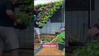 PRIVACY#PARTITION#IDEA#BY#VERTICAL#GARDEN#PLANTS#DECOR AND DESIGNING #FOLLOW#FOR#MORE#