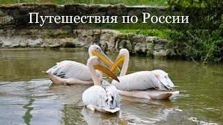 7. Летний отдых в России: что посмотреть с детьми в Анапе? Зоопарк ДоДо.