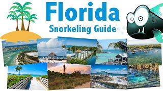 Our Top 9 Snorkel Spots in Florida: Beaches - Reefs - Marine Life