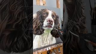 Oliver’s story ️ #petportrait #petportraitartist #rescuedog #artist #artistpainting #dogart