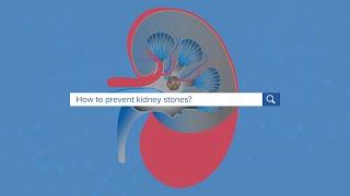 How To Prevent Kidney Stones - Yale Medicine Explains