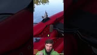 ИДЕАЛЬНЫЙ ВЕС #русскаярыбалка4 #рр4 #russianfishing4