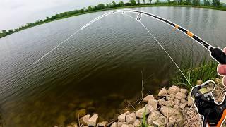 This Reservoir Was Hiding Some Incredible Fish!