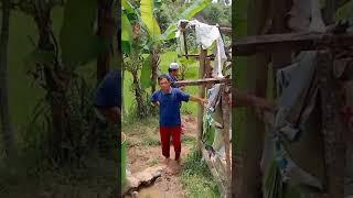 Hj goni