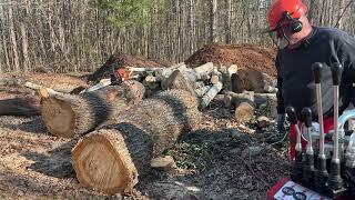 Cutting and splitting big oak rounds