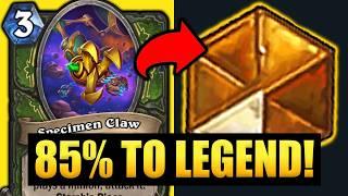🫛85% WINRATE TO LEGEND | My "Newest" Hunter Creation IS A MONSTER!