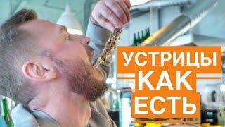 Устрицы:  как есть, сколько стоят, виды, обзор.