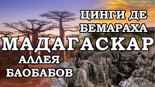 Western Madagascar. Morondava. Baobab Avenue. Tsingy de Bemaraha