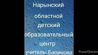 Нарын облустук балдардын билим беруу борбору