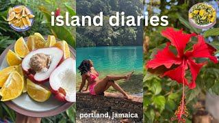 Country Living in Portland Jamaica  ital food, wul heap a fruit, beautiful nature️