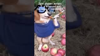 Это было у каждого #shorts #школа #сосал