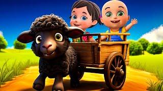 Baa Baa Black Sheep New Compilation | Rain Rain Go Away | Nursery Rhymes and Kids Songs | Baby Bobo