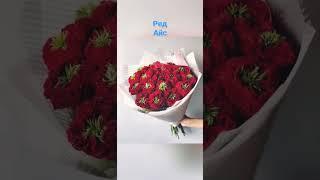 Неперевершена троянда Ред Айс. Ціна 99 грн. Сайт Клумба Етіель. Саджанці. Рози