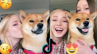 KISS YOUR DOG ON THE HEAD PART 3  TIKTOK TRENDS ️CUTE AND SWEET DOGS 