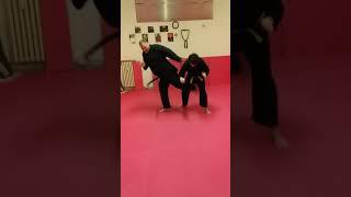 WSDA AREZZO COMBAT JU-JITSU JU-JITSU ISRAELIANO TECNICHE KENPO-JUJUTSU MAESTRO 6° DAN LUCIO PICCIOLI