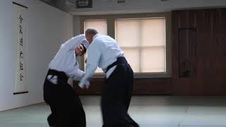 Gary Snyder Sensei - Various Aikido Techniques