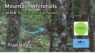 Bowhunting  Mountain Deer with Bowhunting Soul