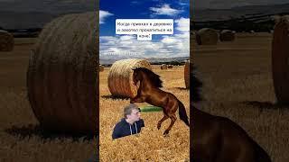 деревенский движ,часть 3 #mellstroy #юмор #прикол #мем