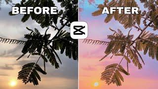 CapCut Color Grading | Cinematic Color Grading in Mobile | GoTharu Editing