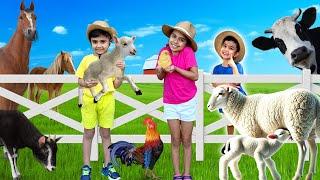 Farm Animals For KIDS | Atrin, Soren & Nikan Learn Farm Animals Family name | Kids Educational Video