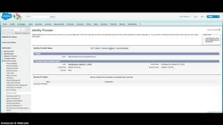 Setting up Salesforce as an Identity Provider