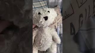 Sam Looks At Camera And Then Kicks It