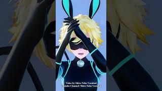 【MMD Miraculous】Made You Look (Chat Noir)【60fps】