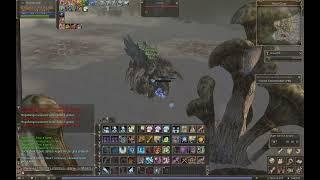 Lineage II - сервер Raid - Орфен - Эпик РБ 60 лвл - 10.07.2024