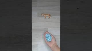 HORSE AND BALL