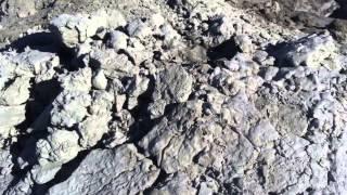 Eternal Telethon: Methane Mud-Baths at the Salton Sea!