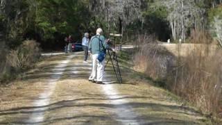 Harris Neck National Wildlife Refuge