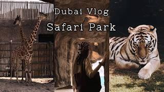 Dubai Vlog | Дубай Сафари Парк: факты о животных