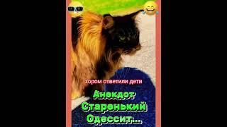 Анекдот Старенький Одессит. #анекдоты #котики #шутки #юмор #мемы #приколы #одесса