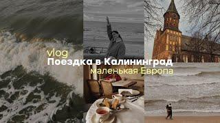 Travel VLOG//влог Калининград | Балтийское море | Европейский город