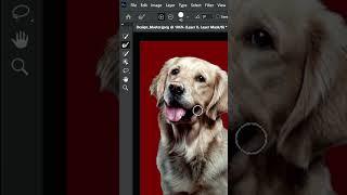 How to remove complex background in photoshop! #shorts