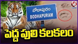 Tiger Footprint Spotted AT Mulugu Area | V6 News