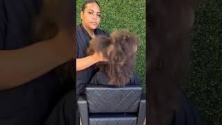 PROGRESSIVA SEM FORMOL EM CABELO AFRO #progressivasemformol #tutorial #alisamento #tutorials #dicas
