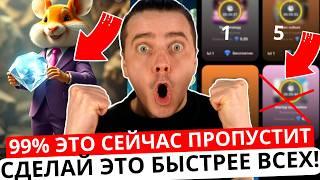 ️ HAMSTER KOMBAT - СРОЧНО  99% ЭТО ПРОПУСТИТ! СДЕЛАЙ ЭТО ПРЯМО СЕЙЧАС ПЕРЕД ЗАПУСКОМ 2-ОГО СЕЗОНА!