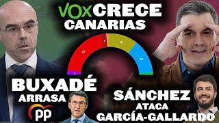 ¡VOX CRECE EN CANARIAS, BUXADÉ ARRASA AL PP DE FEIJÓO Y SÁNCHEZ ATACA A GARCÍA-GALLARDO!