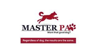 Regardless of dog Results are the same-MasterPaw! | Dog Training Course |™MasterPaw Official