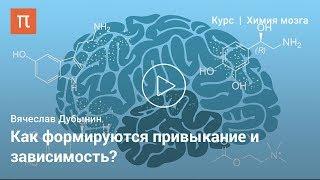 Гистамин и анандамид — Вячеслав Дубынин