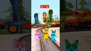 Cute dog beby stop train by dance #trending #cute #funny #funnycute