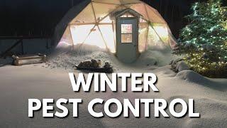 Winter Growing in a Geodesic Dome Greenhouse |  Pests Control in a 4 Season Green House