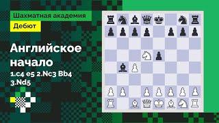 Английское начало #3: Классическая система: 1.c4 e5 2.Nc3 Bb4 3.Nd5 // Дебют