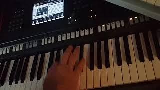 YAMAHA PSR S 970