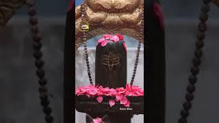 Mahashivratri - Sivan illam 