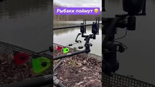 Рыбаки поймут  #carpfishing #fishing #рыбалка