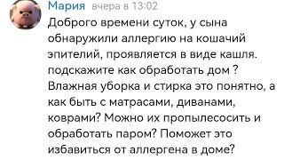как обработать дом от кошки